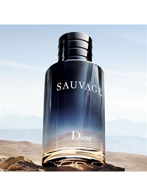 dior sauvage loris|françois demachy Dior.